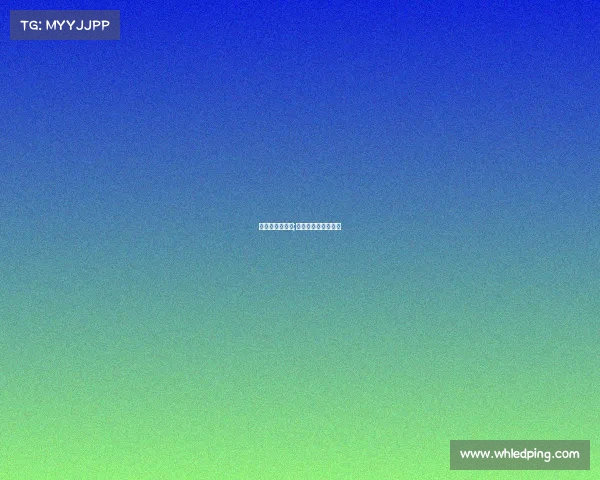 来力赛事的了解;来力签约球手都有谁