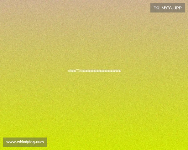 tdt线下赛TDA赛事规则深度解析掌握核心要点实战应用与策略优化指南