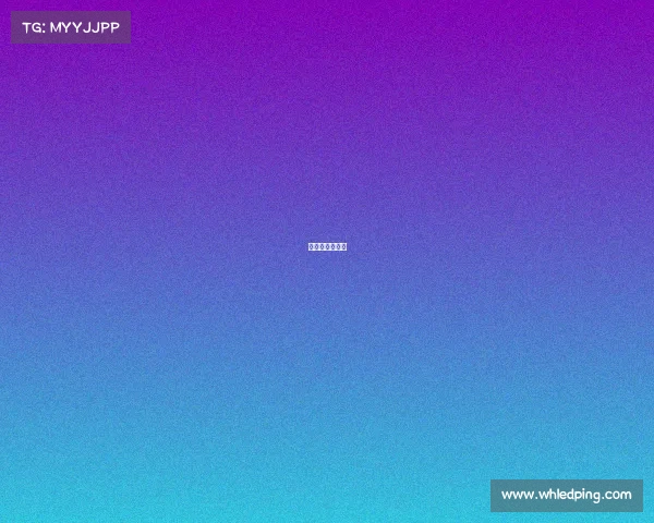 山东高速季前赛