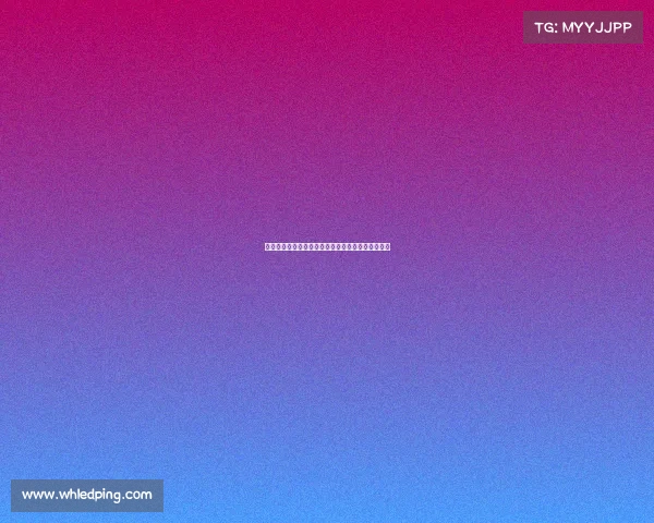 张立鹏所有赛事精彩回顾职业生涯战斗历程全景展现