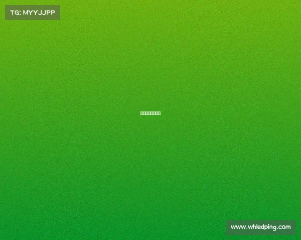 网球国际赛事级别