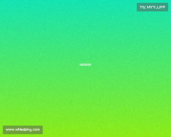 中国男篮最近消息