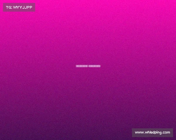 体育赛事服务内容-体育赛事服务质量